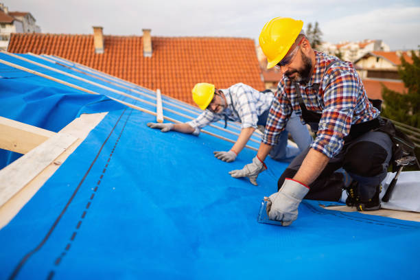 Best Roof Maintenance Services  in Williamsport, OH