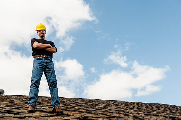 Best Roof Gutter Cleaning  in Williamsport, OH