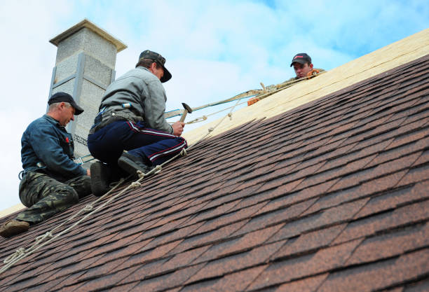 Quick and Trustworthy Emergency Roof Repair Services in Williamsport, OH